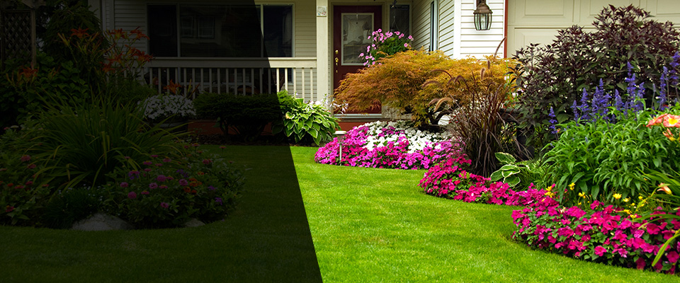 Richboro Landscapers