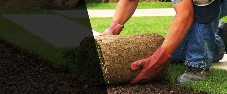 Richboro Landscapers